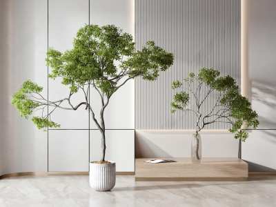 现代绿植盆栽3D模型下载